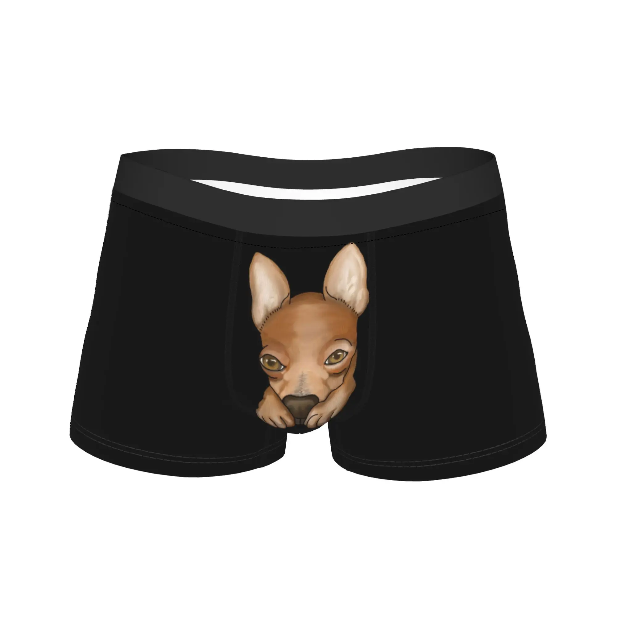 Little Chihuahua Boxer Shorts  Pouch Underwear High Quality Pattern Shorts Briefs Comfortable Men's Panties Plus Size 2XL