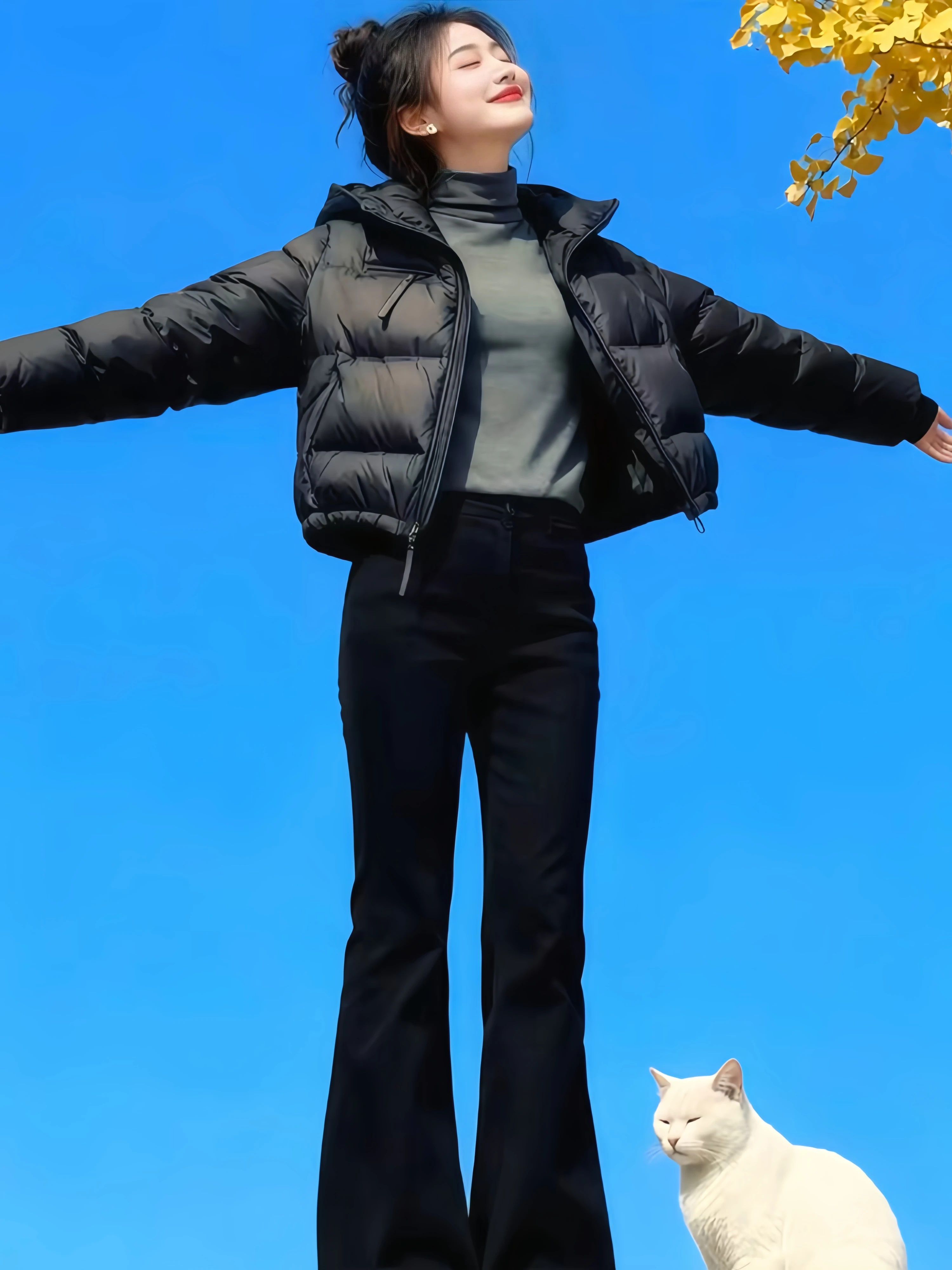 No image