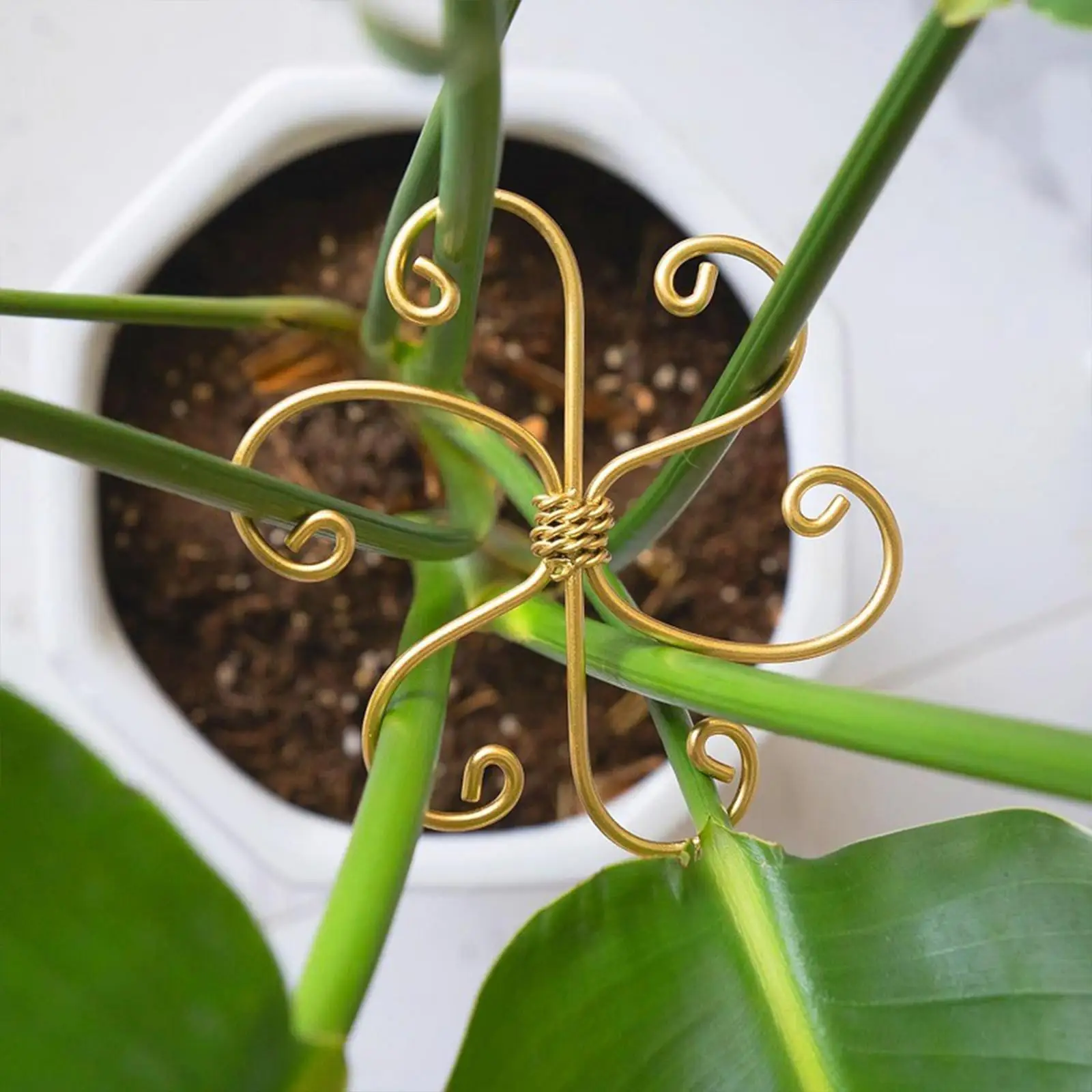 

5Pcs Plant Stem Supports Plant Climbers Stem Holders for Indoor Outdoor Yard