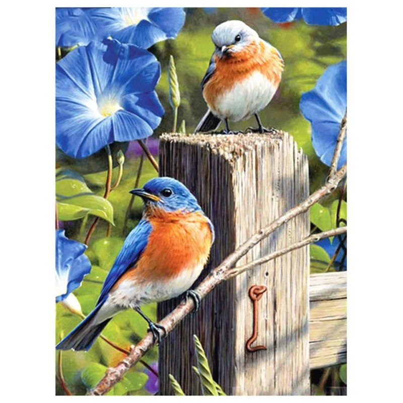 Diamond Painting For Adult Kids Diamond Painting Accessories Kit,Painting Cross Stitch Full Drill (30X40cm)