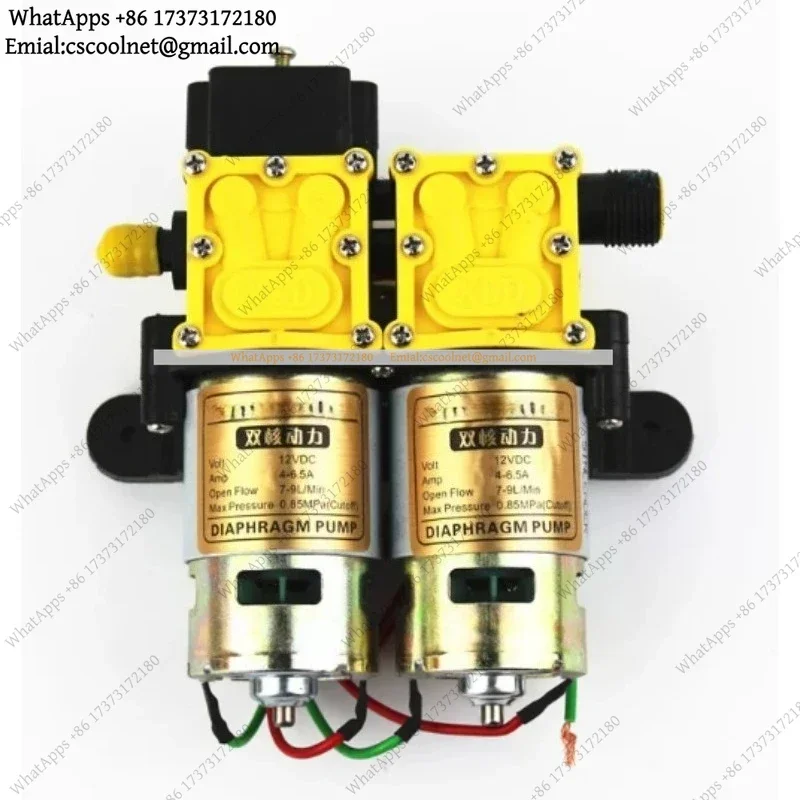 JS02 12V Intelligent Double Pump Electric Agricultural Sprayer High Power Water Pump for Farm Garden Irrigation
