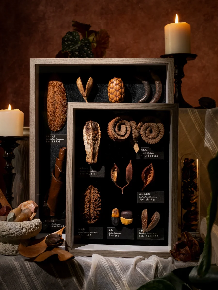 

Ретро-винтажная картина с изображением растений, декоративная живопись для гостиной, украшение для прихожей, подарок от Shengye Creation