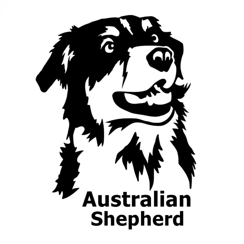 Australian Shepherd on Board Car Sticker Funny Auto Car Stickers Car Motorhome Laptop Motorcycle Off-road Decal Vinyl Waterproof