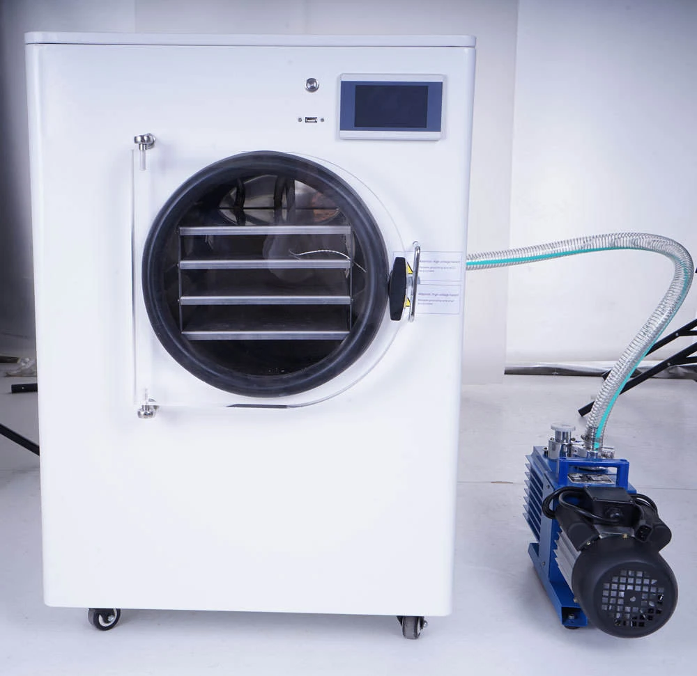 

Automatic Household Blueberry Lyophilization Machine Vacuum Freeze Dryer Food Freeze Drying Machine