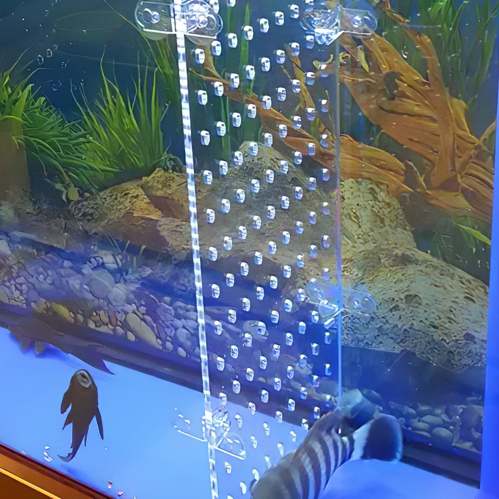 

Acrylic Isolation Board 25x30cm Fish Tank Divider Transparent Aquarium Separator Sponge Filter DIY Tank Accessories Pet Supplies