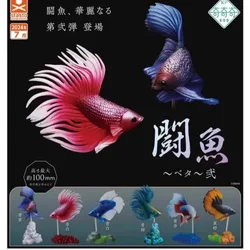 Original STASTO Japan Gashapon Figure Anime Cute Betta Fish Model Bettas Action Figurine Capsule Toys Creative Gift