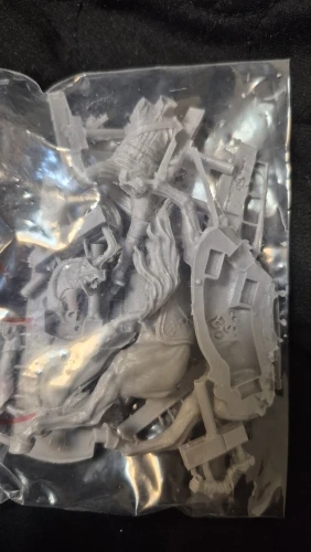 Buyer photo of this resin kit