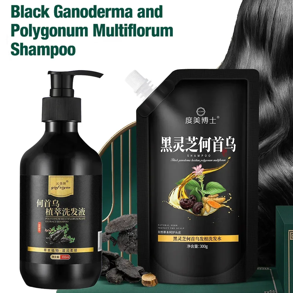 300ml Hair Black Ganoderma Polygonum Multiflorum Hair Shampoo Oil Control Anti-dandruff Smoothing Fluffy