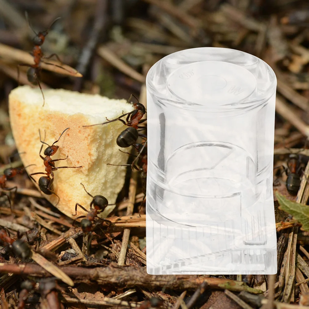 

2Pcs Pet Water Feeder Acrylic Transparent Mini Ant Habitat Water Bowl Liquid Feeder Ant Drinking Dispenser Small Pet Supplies