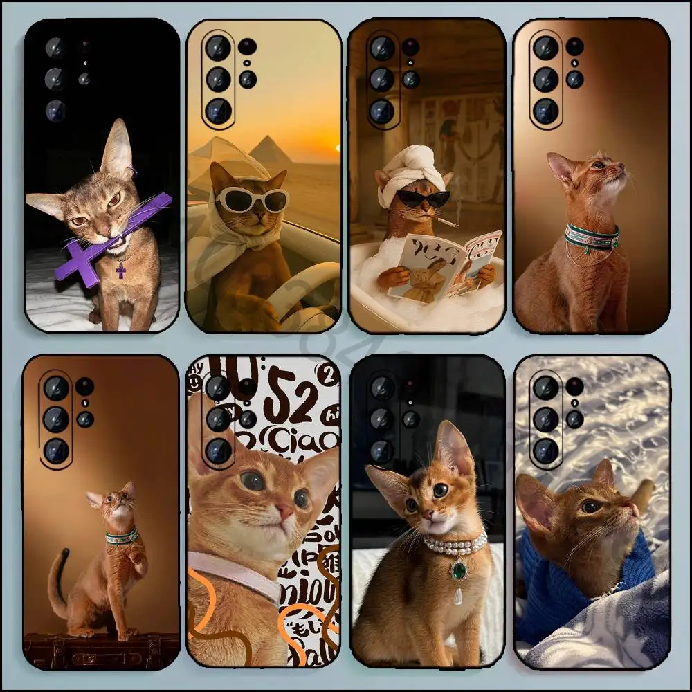 Abyssinian cat Phone Case For Samsung Galaxy A20 21 22 31 32 52 53 72 73 80 91 Soft Black Cover