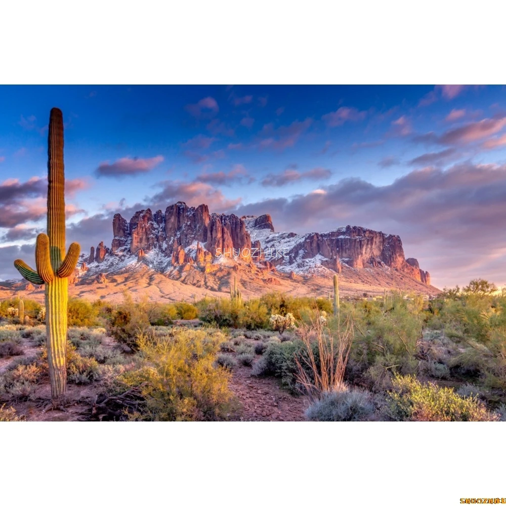 砂漠の写真の背景,自然の風景の肖像画,写真の背景,ダスター,サボテン,山,低木,丘の中腹