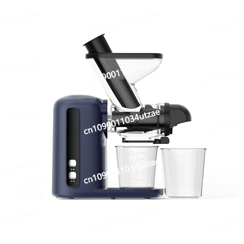 Low Speed Raw Juice Machine Juicer Juice Residue Separation Household Fruit and Vegetable Celery Green Juice Small Automatic