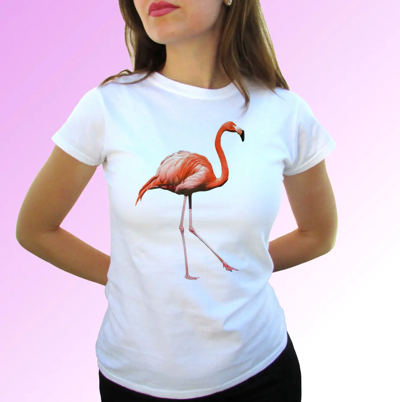 

Flamingo t shirt bird tee top phoenicopteridae gift mens womens kids baby sizes