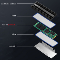 M.2 NGFF NVME 2280 SSD Heatsink with Silicone Thermal Pad SSD Cooler Aluminum Alloy PC Efficient Radiator for PS5 Desktop PC