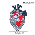 PE5101CT