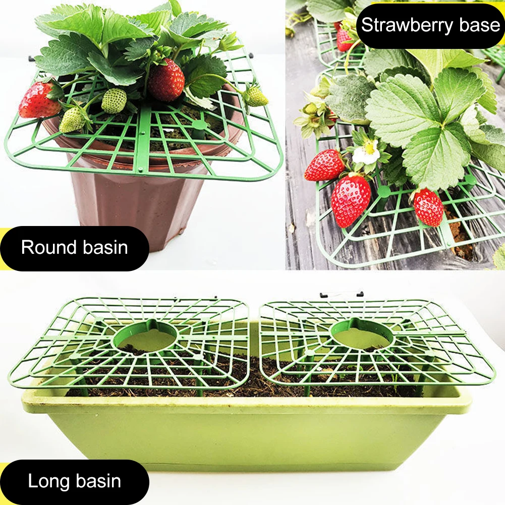 

Strawberry Supports Plant Support With 4 Sturdy Feet Growing Square Tray Garden Planting Supplies Accessories Plastic