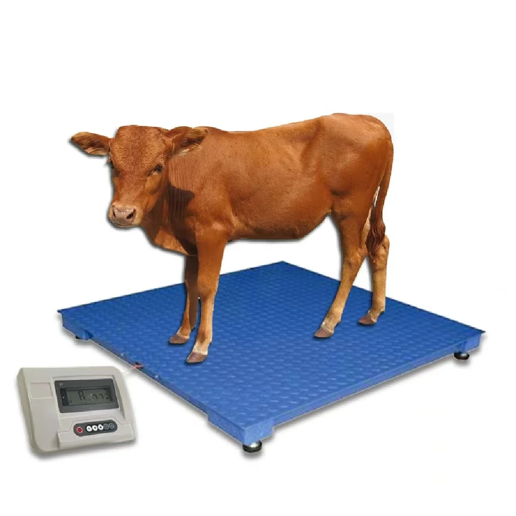 

1Ton & 2Ton Animal Livestock Scale for Cattle Pig Sheep Goat Cow Industrial Floor Scale with LCD Display for Farm Husbandry