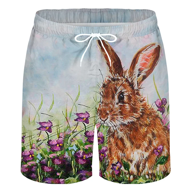 Cartoon Schilderij Dier 3d Print Strand Shorts Mannen Zomer Straat Korte Broek Konijn Patroon Surfplank Shorts Losse Zwembroek