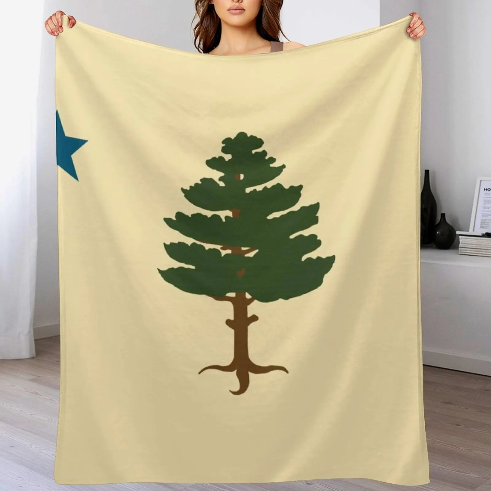 

Maine Flag 1901 Throw Blanket funny gift Warm Furry decorative Blankets