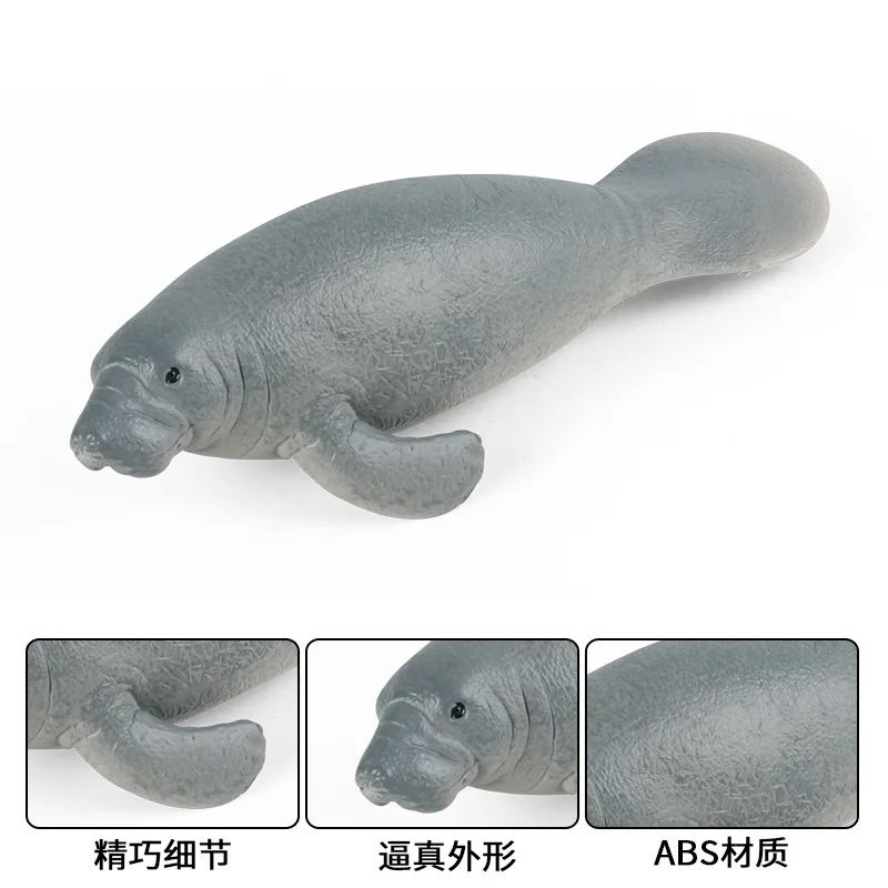 Simulation of marine wildlife model Manatee Underwater World Children's cognitive toys wholesale