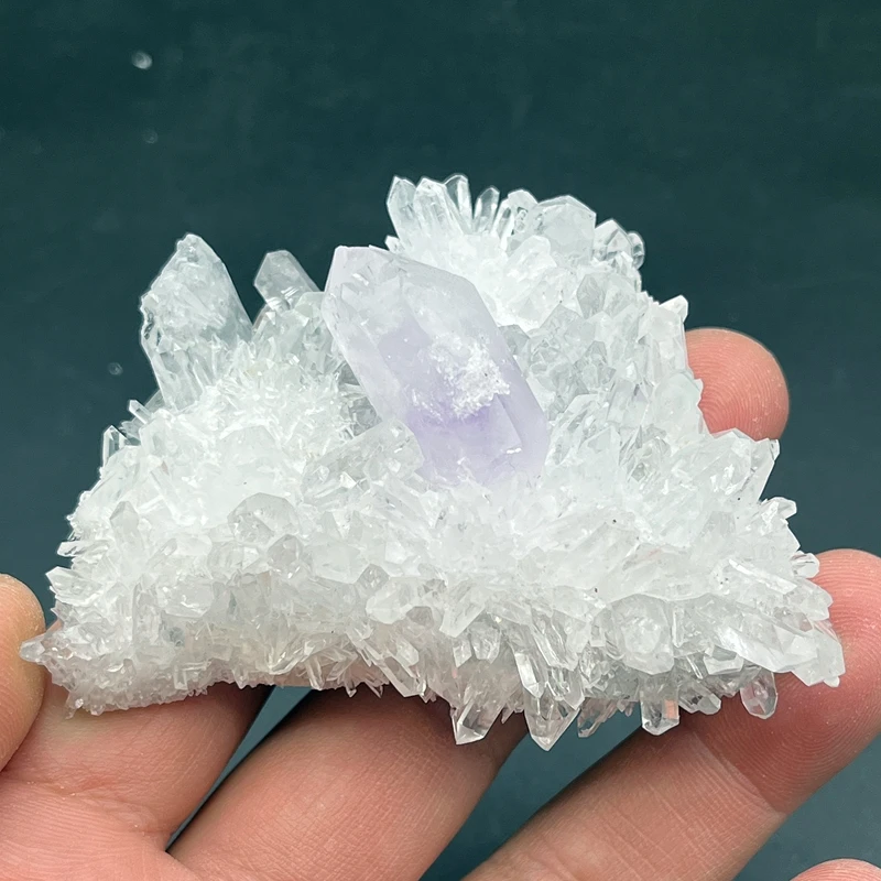 

100% natural chrysanthemum crystal cluster and amethyst symbiosis crystal mineral specimen