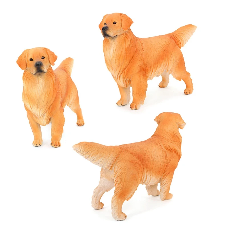 Simulation Animal Dog Model Big Golden Retriever Pet Dog Science Education Models Childrens Gift Toys