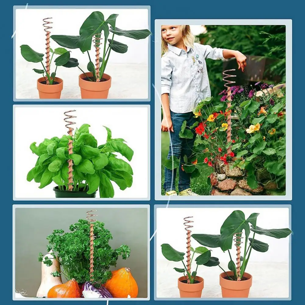 Natural Log Plant Stake Electroculture Plant Stakes Coil Antennas Reusable Garden Growth Boosters Eco-friendly High-yield Plant