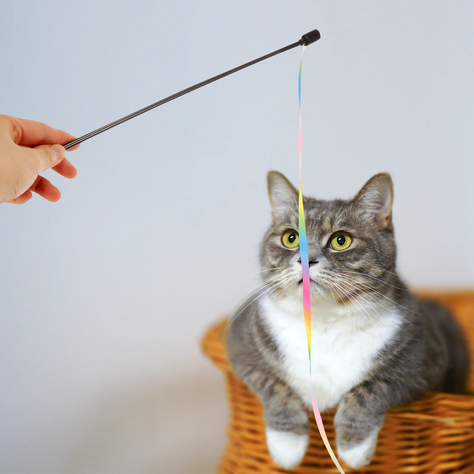 

Colorful Bells Cat Stick Interactive Pet Teaser Hanging Wands for Indoor Play Time to Keep Cats Active Healthy