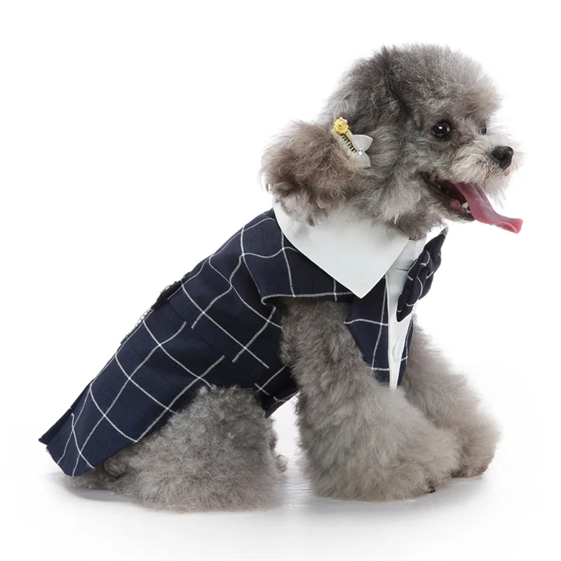 Luxuriöses Herren-Haustierkostüm für kleine Hunde – Hochwertiger Welpen-Frackanzug für Chihuahua, Malteser und andere Haustiere – Hochzeitskleidung – Detail 3