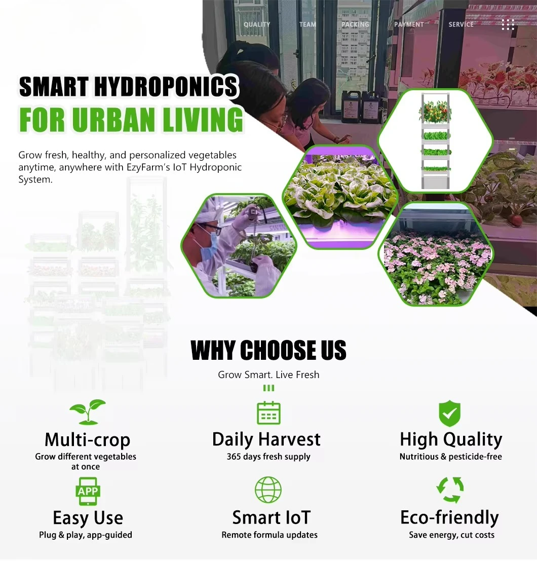 آلة مع 300-400 جرام الإنتاجية اليومية IoT الزراعة المائية الذكية #3