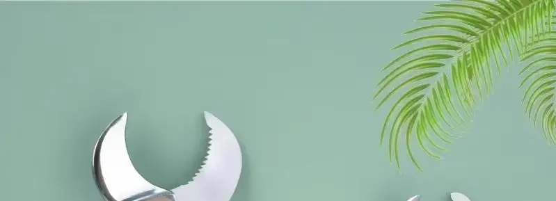 

Dental Plaster Scissors Gypsum Scissors Dentistry Material Plaster Cutter Stainless Steel Dental Lab Equipment