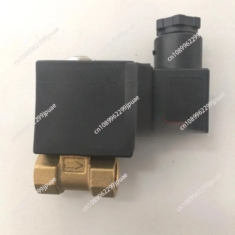 AC220V  ironing steam solenoid valve 