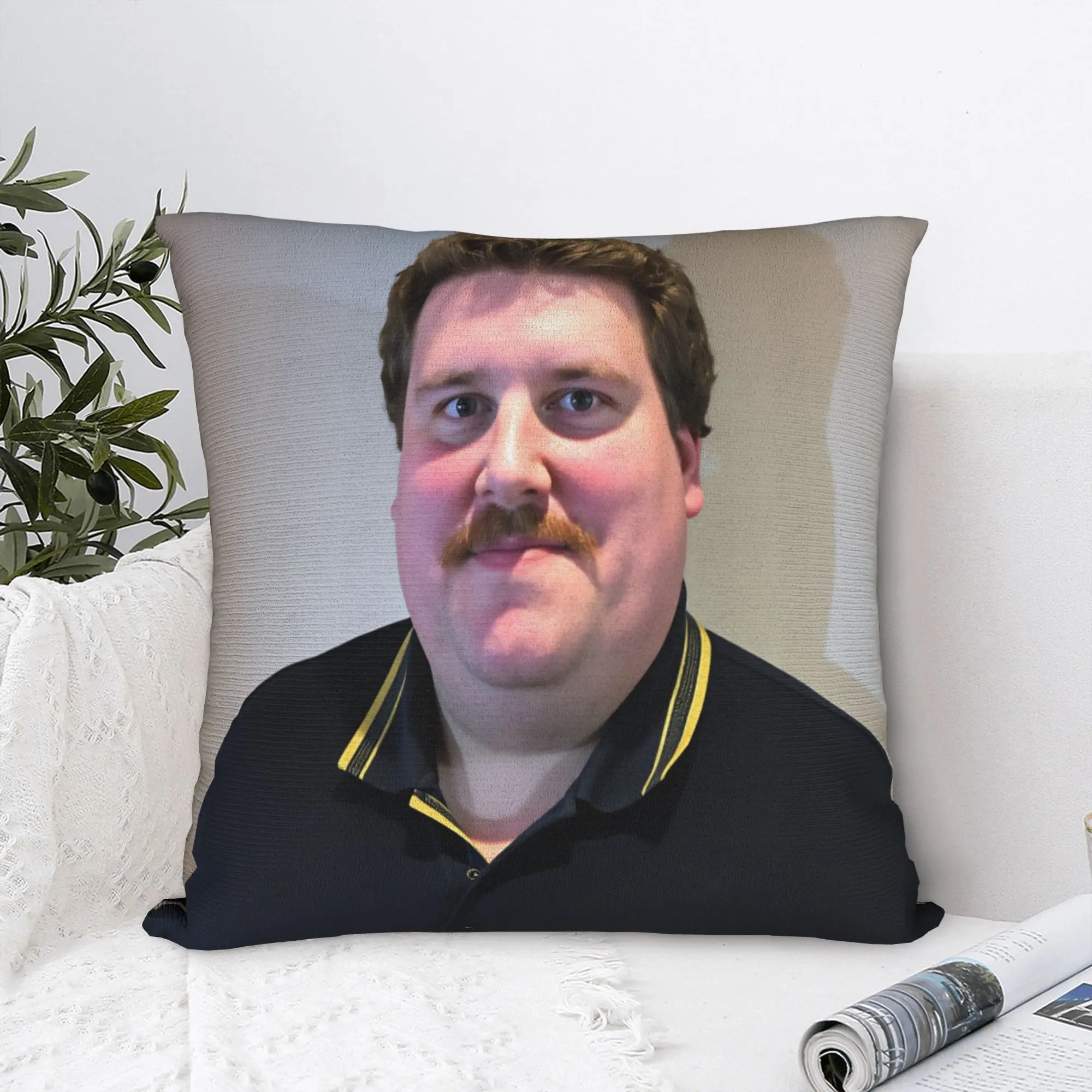 D-Drachenlord Rainer Winkler Pillow Cover  Kawaii Pillow Case For Chair Sofa Home Decor Comfy Pillowcases Gift