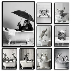 Animals in Bubbles Bathtub Modern Cute Highland Cow Koala Posters and Prints Canvas Printing Wall Art Picture for Bathroom Decor