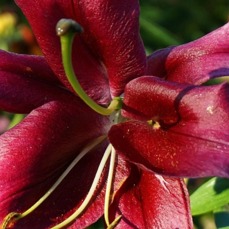 

4 шт., прочные шины для игрушечной модели автомобиля 1/10, шины для внедорожников Srx2 Srx4 Bandit, шины для Tekno Eb410 Yokomo Yz4 RC Crawler