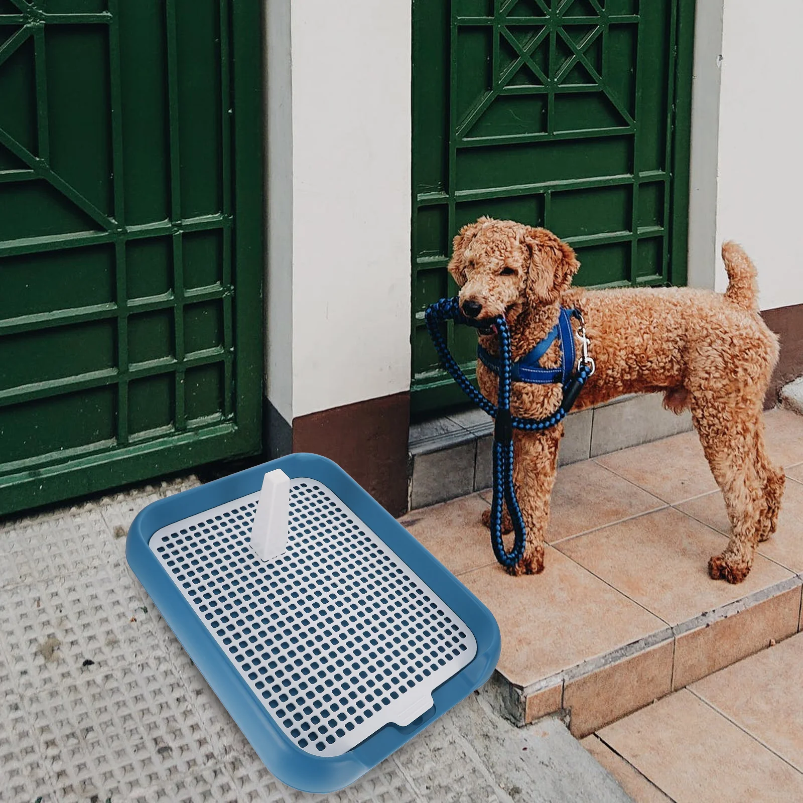 

Plastic Puppy Toilet Mesh Dog Potty Indoor Training Pad Anti Slide Pet Waste Solution Compact Space Saving Modern Style