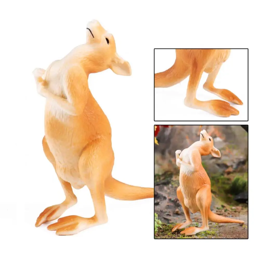 โมเดลสัตว์ป่าจำลอง PVC รูปปั้นสะสม จิงโจ้ แอคชั่นฟิกเกอร์ งานฝีมือ การ์ตูน จิงโจ้ป่าจำลอง