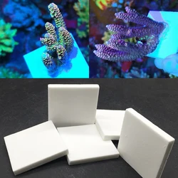 10pcs 40mm/50mm/56mm SPS Ceramic Coral Frag Plug Aquarium Decoration Square Coral Reef Frags Base Fish Tank Accessories