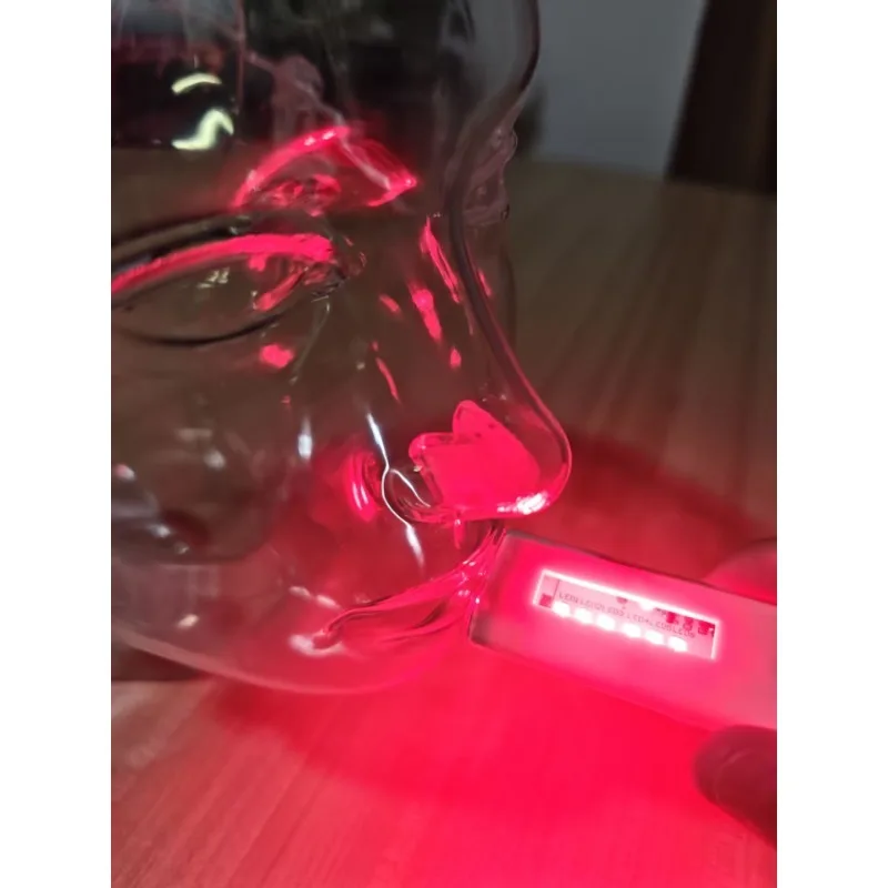 

Mini Handheld LED Light Therapy: Dual Red & Infrared for Oral Ulcer Treatment & Skin Healing