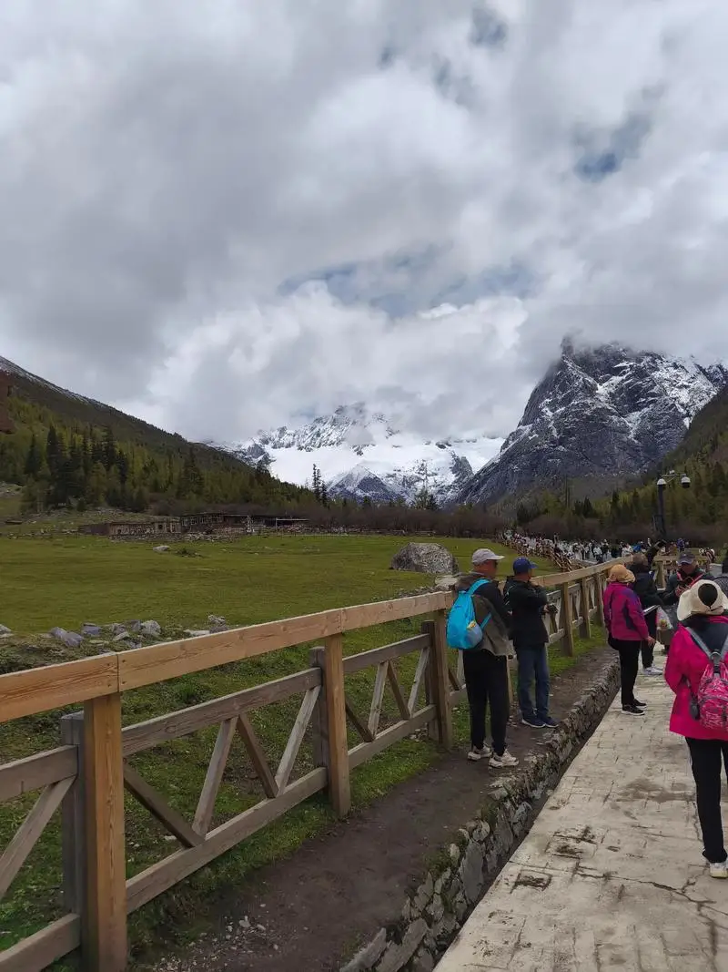 

6pcs 10.7cm-11cm Fruit Cocktail Pick Stick Stainless Steel Bar Tools Drink Stirring Sticks Martini Picks Party Wedding Barware