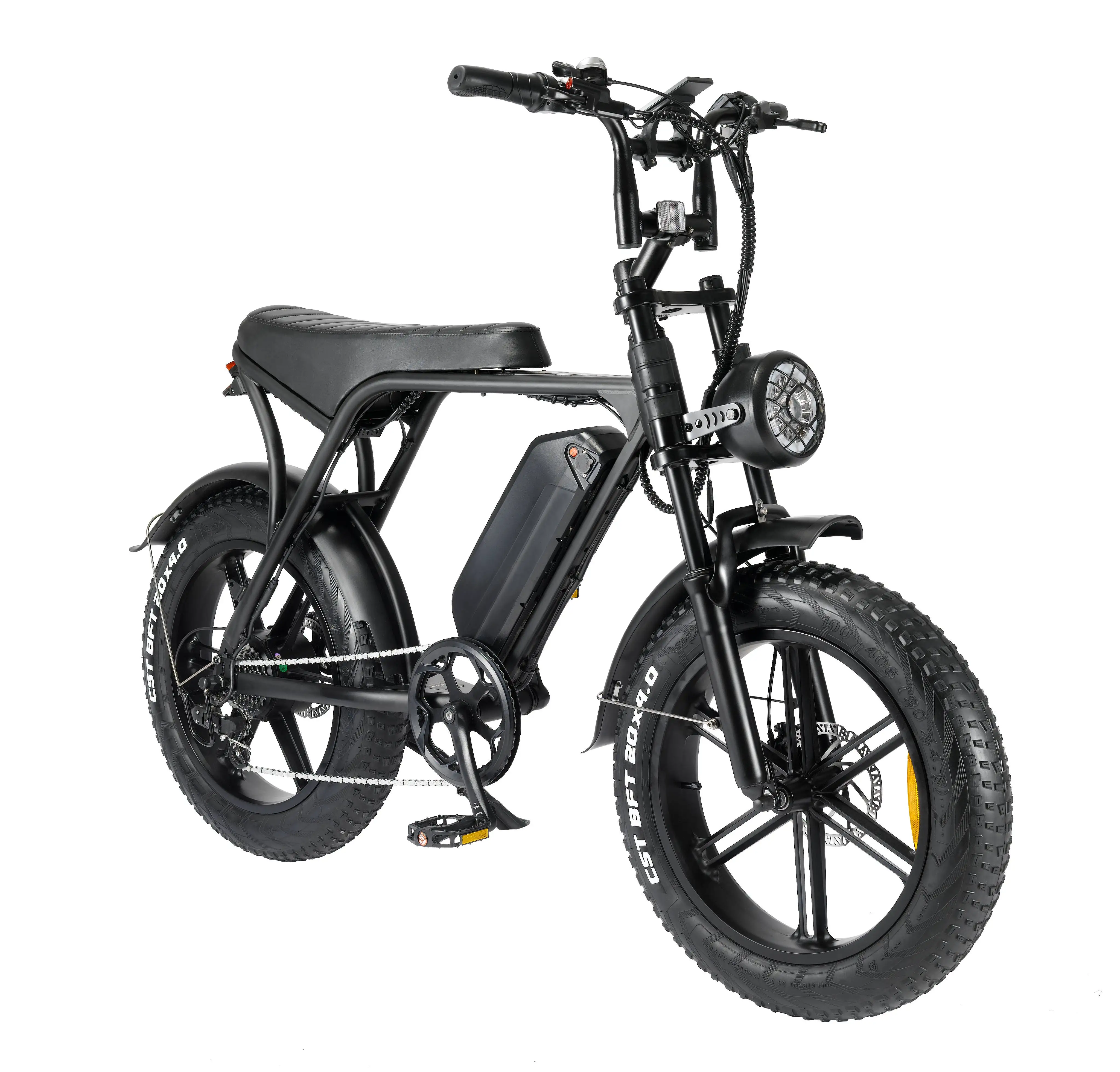 Adult 48V Fat Tire Electric Bike Waterproof Road Ebike Shock Absorption Bicycle
