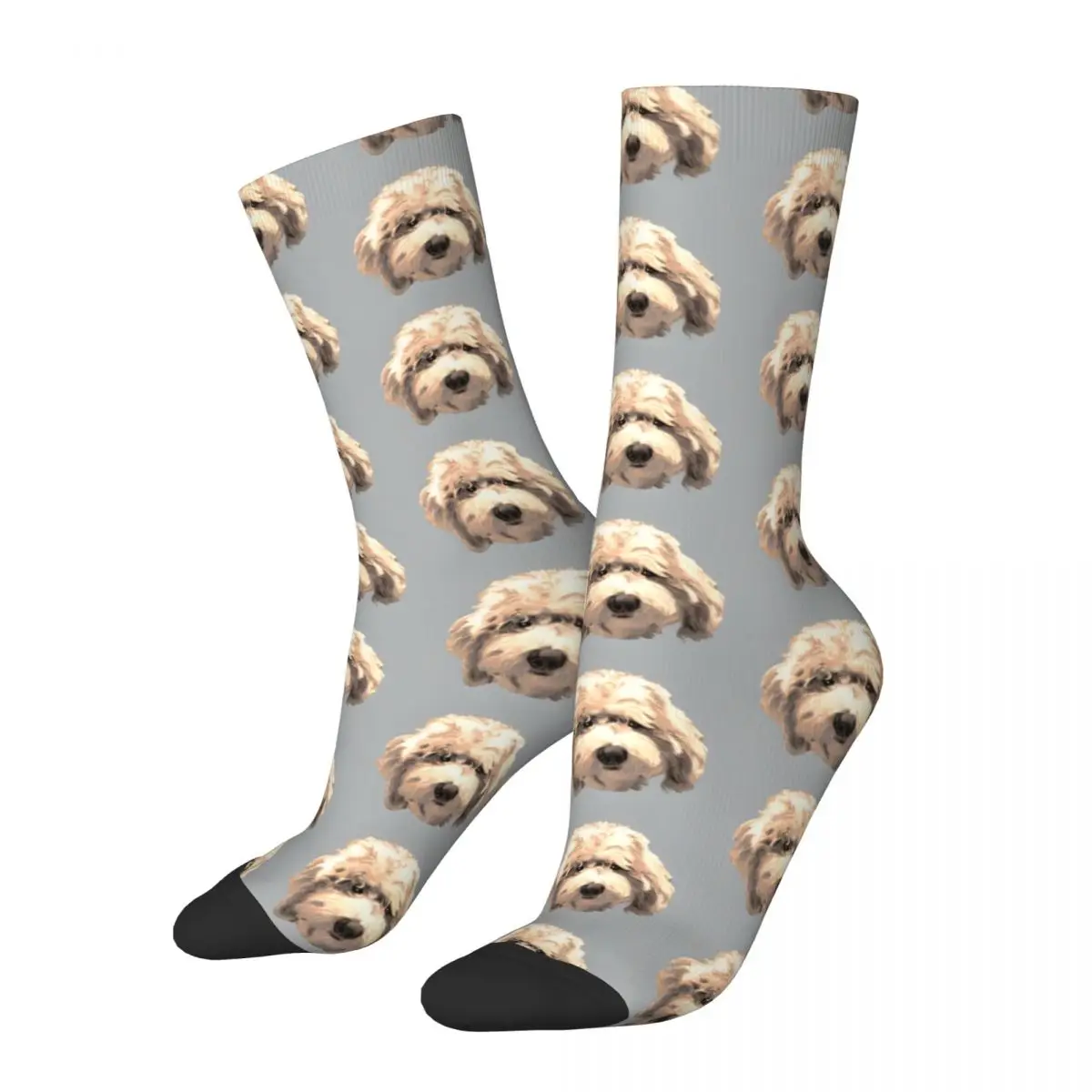 Crazy compression Lucky Labradoodle Face ~ Golden Sock for Men Harajuku Quality Pattern Crew Sock Casual