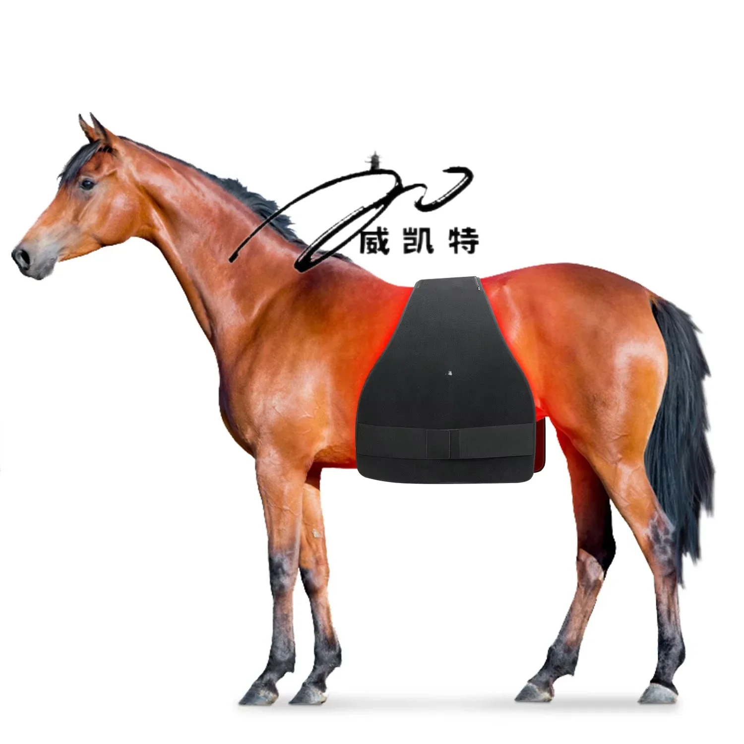 2025 660nm 850nm LED red light therapy for horses with increased energy in the back blanket cells and enhanced blood circulation