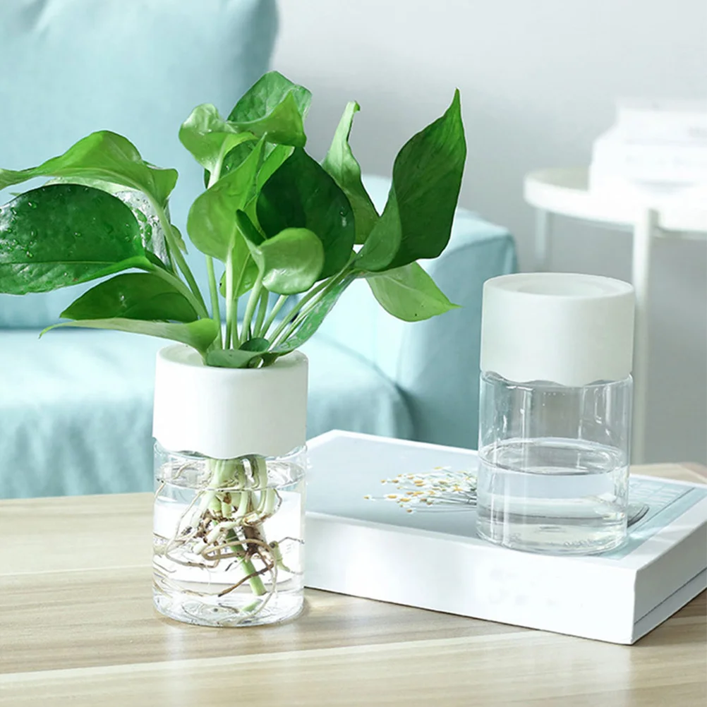 

4Pcs Clear Round Hydroponic Planter for Spider Plant Lucky Bamboo Water Culture Vase Modern Minimalist Home Office Decorative
