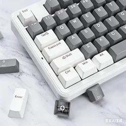 Keycaps PBT 104 Keys OEM Profile Dual Color Injection Molding Process Spherical Keycap For Cherry MX Switch