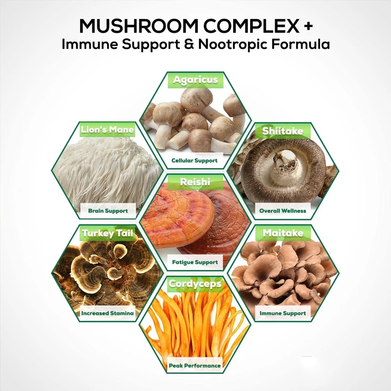 10 misturas compostas de cogumelos - juba de leão, Lingzhi, cauda de peru, Cordyceps, etc. - Memória, suporte imunológico