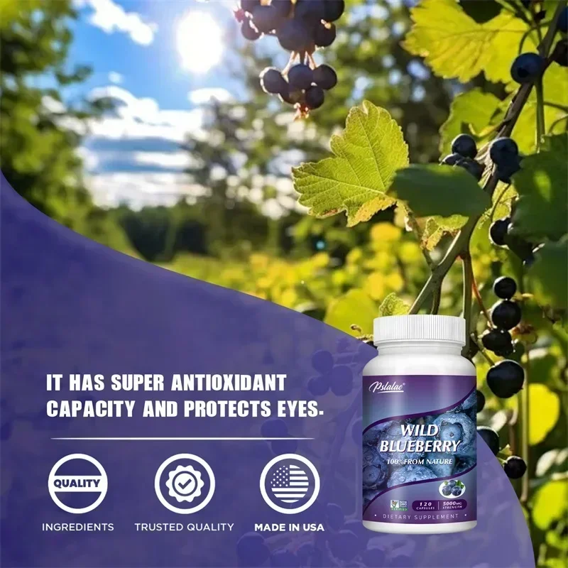 Wild Blueberry - Healthy Vision, Relieve Eye Fatigue, Improve Dryness