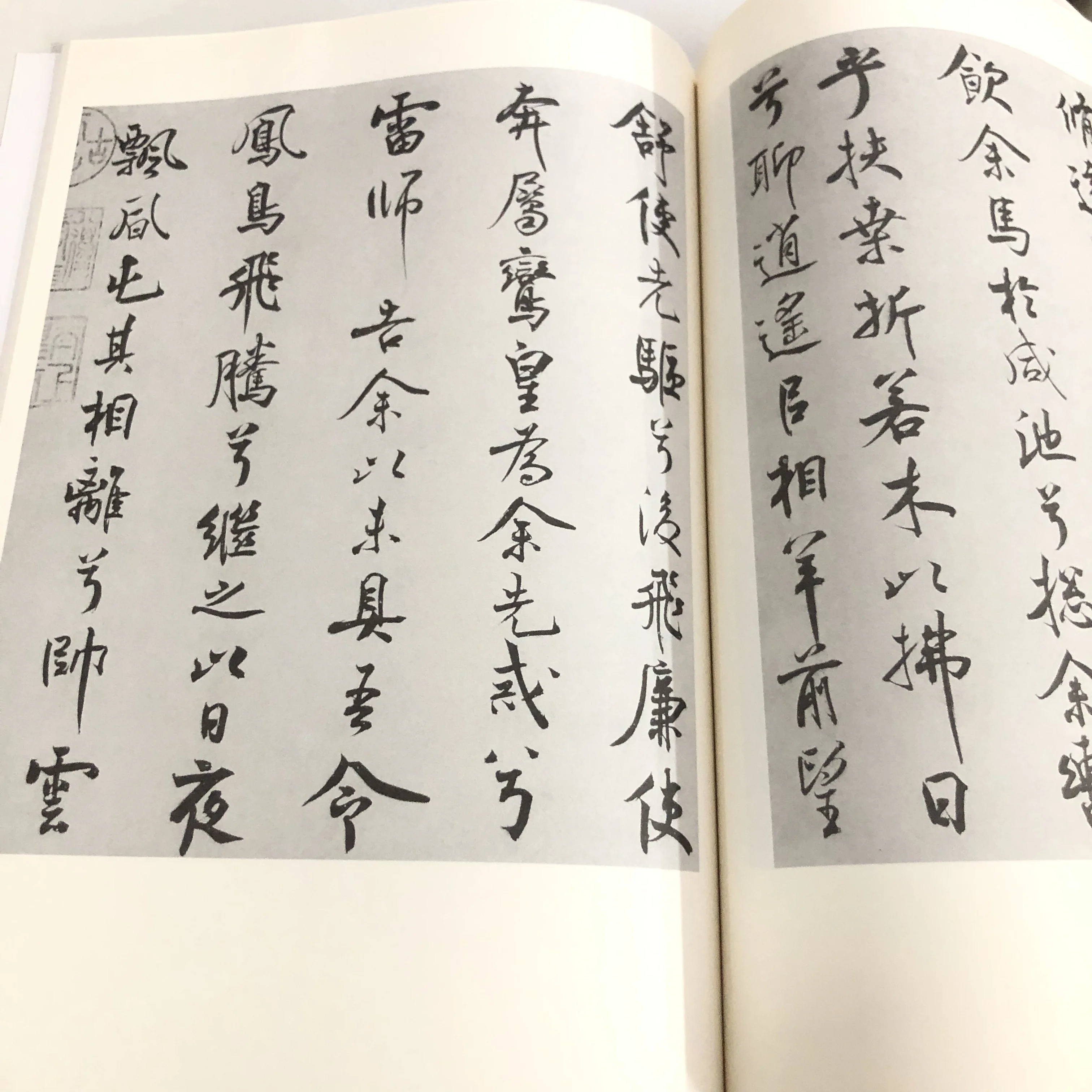 Caderno de caligrafia de Mi Fu: folhas de prática de poesia de colocar Lament