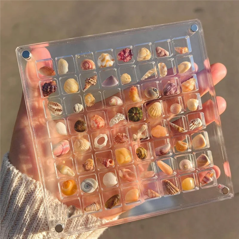 

B28C-5PCS Display Box Seashell Display Box Diamond Gemstone Beads Storage Display Organizer Box Grids Clear Acrylic