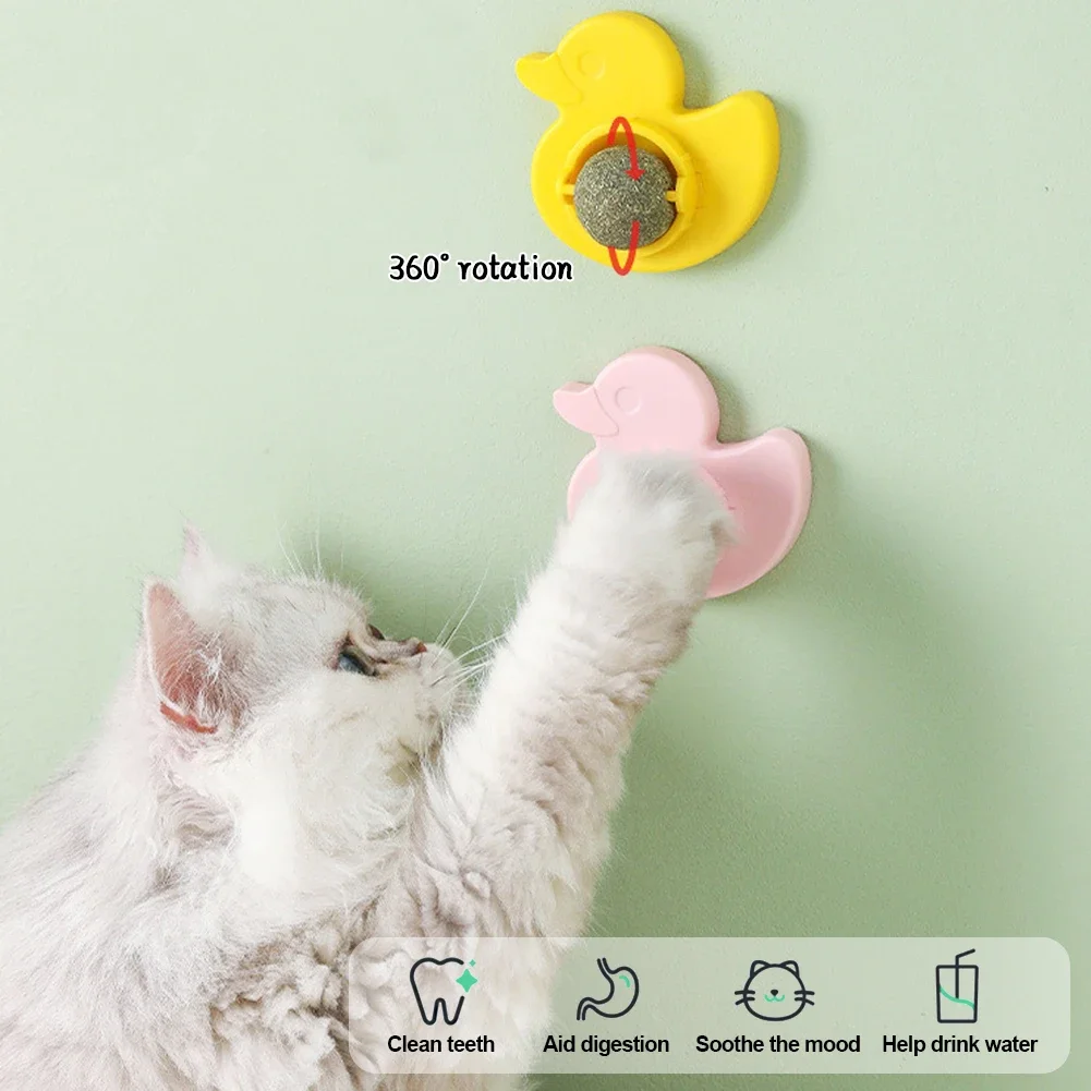 Mint bola giratória para gatos, acessórios de parede, Catnip Games, lambendo lanches, hortelã, respiração fresca, Pet Shop